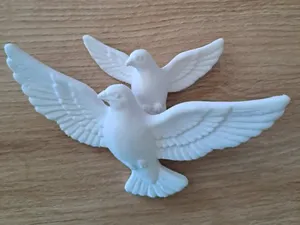 Dove in flight