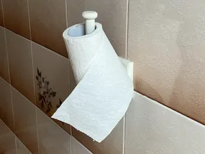 Vertical & Horizontal Toilet Paper Holder by GAPI