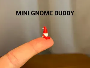 Mini Gnome Buddy