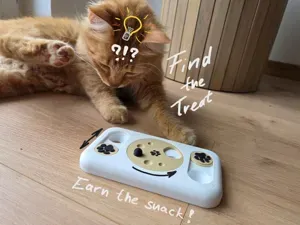 Find a Treat - Pet Feeder Puzzle for Cats and Dogs