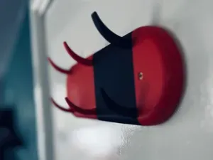 Custom Wall Hook
