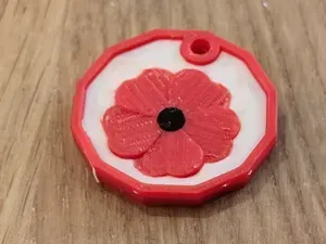 Poppy Trolley Token - £1 Coin