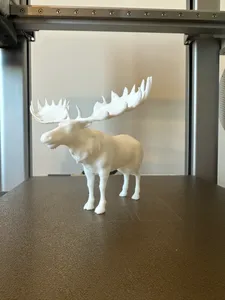 Alaskan moose