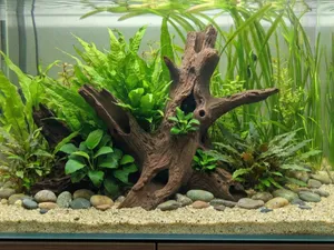 Aquarium Terrarium Driftwood Tree Stump Root