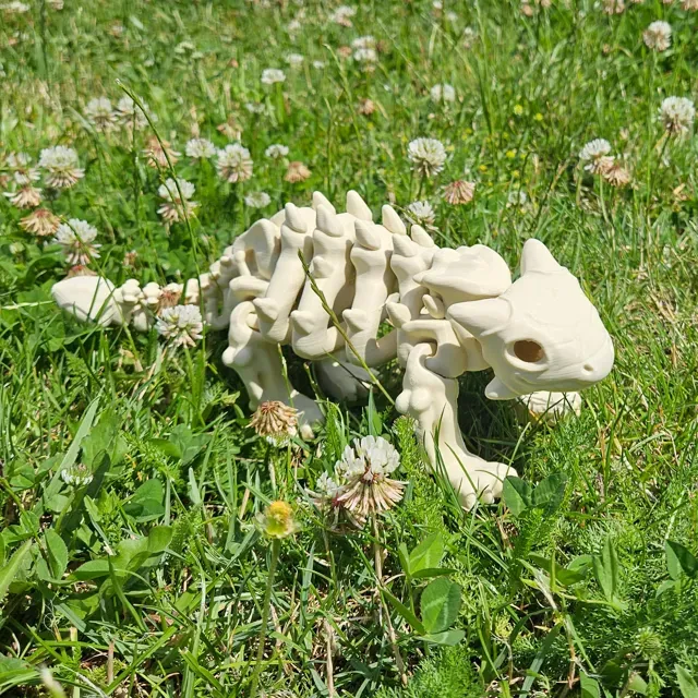 Flexi Dino Skelett Ankylosaurus Skeleton Dinosaur — Фото 4 из 5