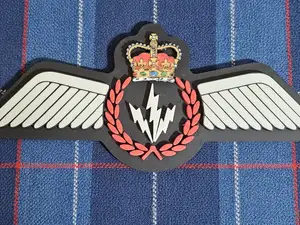 Canadian Armed Forces AESO Badge
