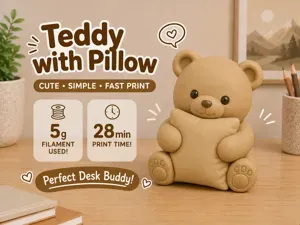 Cute Teddy Bear with Pillow