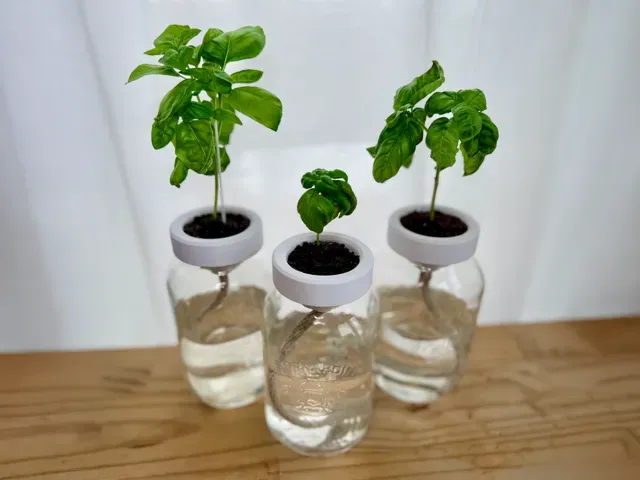 Hydroponic Wick System for Mason Jar