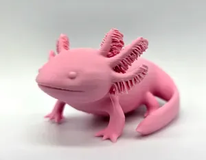 Axolotl #2