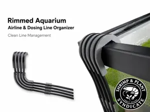 Rimmed Aquarium Airline & Dosing Line Organizer