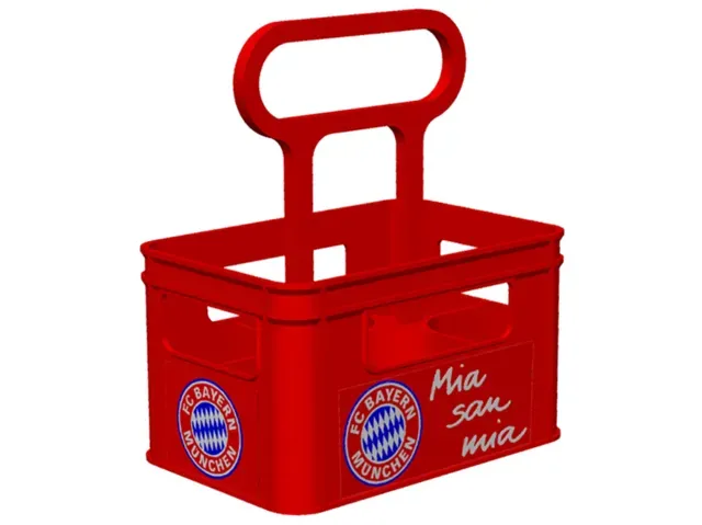 FC Bayern 6-er Bierträger / Männerhandtasche