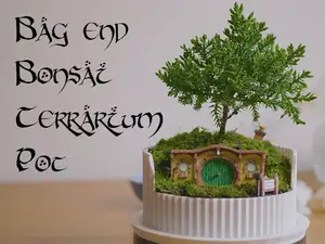 Hobbiton Inspired Bonsai Terrarium Pot