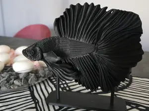 betta fish