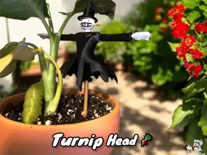 Turnip Head / Howl's Moving Castle