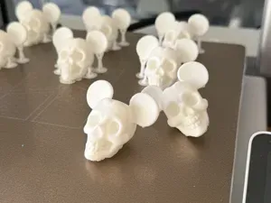 Tiny Skull of the Mouse