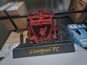 Liverpool FC with skyline of Liverpool