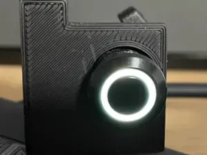 Raw S1 Switch Holder