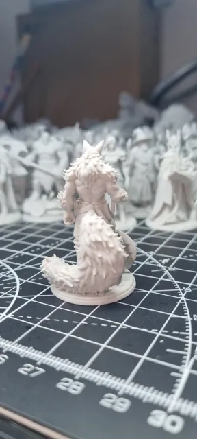 Lupin/Wolffolk Barbarian D&D Miniature (45mm) — Фото 7 из 7