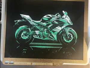 Kawasaki Ninja Hueforge 
