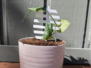 Leaf Trellis Plant Support