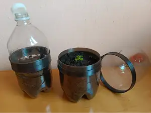 mini greenhouse for pre-growing plants