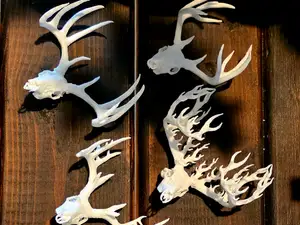 Deer Skull Minis! 22, Bad Boy, WR Black, Fire!