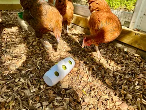 Chicken Snack Roller - Leafy Greens