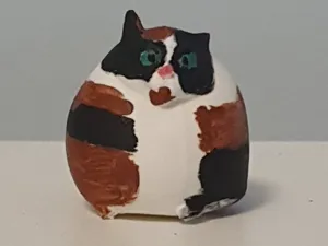 котость