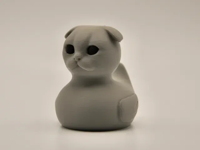 Scottish Fold Cat Duck