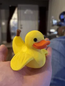 Notha Nana Duck