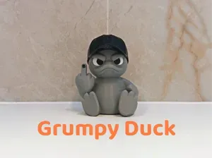 Grumpy Duck