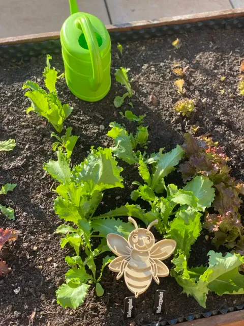 Insect water feeder - Bee bath - Bird bath — Image 6 of 7