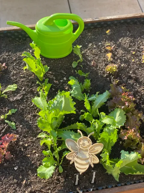 Insect water feeder - Bee bath - Bird bath — Image 7 of 7