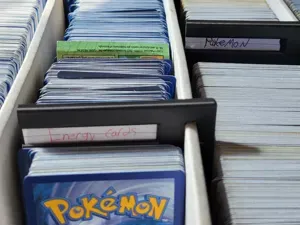 Card Divider With Space For Custom Labels