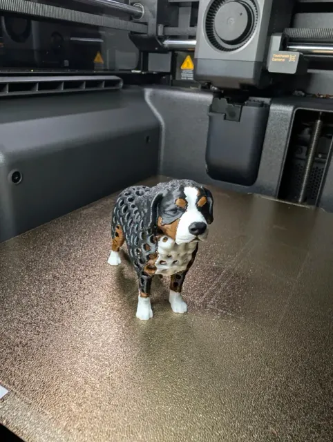 Voronoi Bernese Mountain Dog — Фото 3 из 10