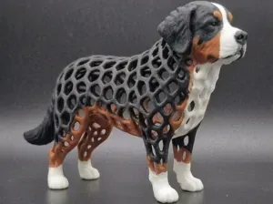 Voronoi Bernese Mountain Dog