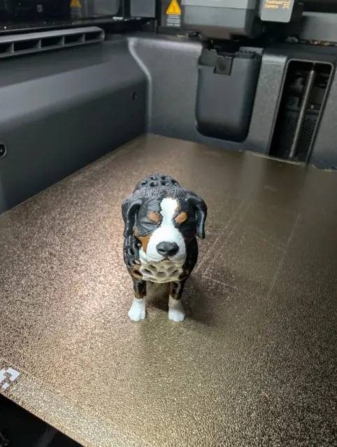 Voronoi Bernese Mountain Dog — Фото 2 из 10