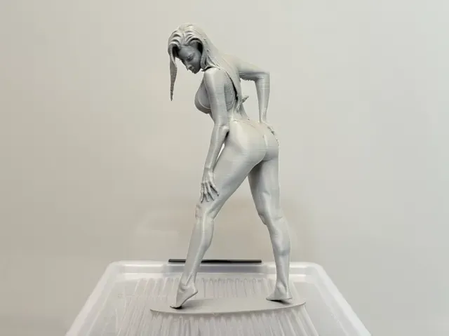 Bikini Girl - Elegant Female Figure