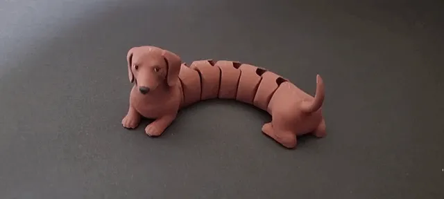 Articulated dachshund flexi multi color