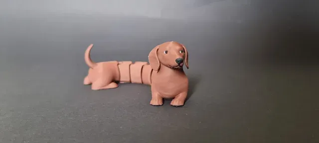 Articulated dachshund flexi multi color — Image 4 of 5