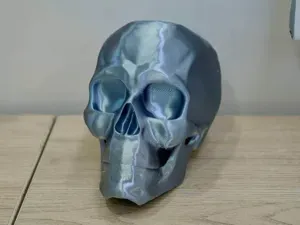 Anatomical Human Skull Model