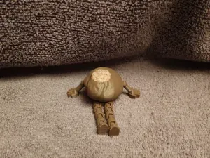 Ohio Buckeye Buddy (nut
