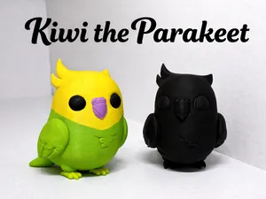 Kiwi the Parakeet