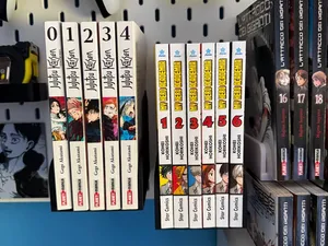 Espositore Organizzatore Manga Skadis