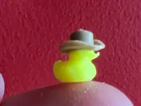 Tiny Duck Wearing A Cowboy Hat