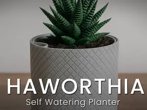 Haworthia - Knurled Self-Watering Planter 