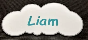 Nameplate boys TOP 10 Name (USA version)