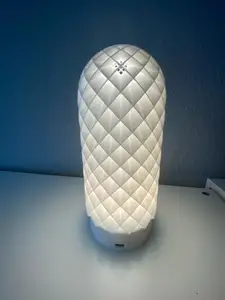 Bambulab lamp with battery USB-C 