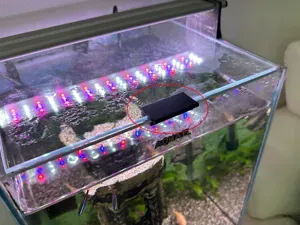 Aquarium Glass Holder – AquaEl Shrimp Smart 30 L