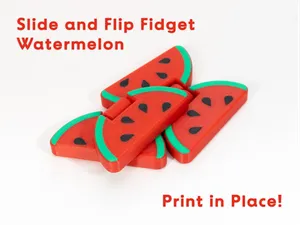 Watermelon Slide and Flip Fidget